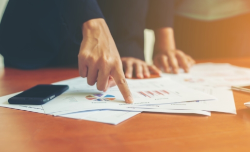 Support of tax audits and audits