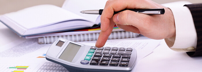 Accounting services fees